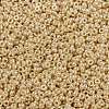 MIYUKI Round Rocailles Beads SEED-JP0010-RR0442-3
