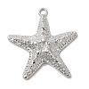 Alloy Big Pendants FIND-H055-13P-1