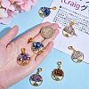 20Pcs 4 Styles Natural Mixed Stone Chip European Dangle Charms G-SZ0002-18-3