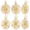 Beebeecraft 10Pcs 2 Style Rack Plating Brass Cler Cubic Zirconia Pendants KK-BBC0004-60-1