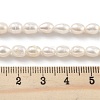 Natural Cultured Freshwater Pearl Beads Strands PEAR-P062-06D-5