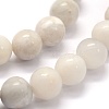 Natural White Crazy Agate Beads Strands G-G763-11-8mm-3