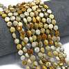 Natural Fossil Coral Beads Strands G-K389-B57-01-2