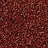 MIYUKI Delica Beads SEED-X0054-DB0601-3