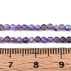 AB Color Plated Natural Amethyst Beads Strands G-T144-A07-04-4