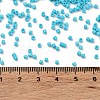 Baking Paint Glass Seed Beads X-SEED-S042-05B-58-4