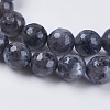 Natural Larvikite Beads Strands G-G542-8mm-27-3