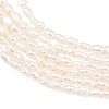 Natural Cultured Freshwater Pearl Beads Strands PEAR-D003-01D-03-4