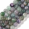 Natural Fluorite Beads Strands G-P530-B04-05-1