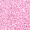 MIYUKI Delica Beads X-SEED-J020-DB0244-3