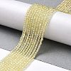 Electroplate Transparent Glass Beads Strands LS-GLAA-H021-01A-FR04-3