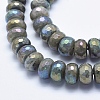 Electroplate Natural Labradorite Beads Strands G-K256-27E-3