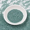 MIYUKI Delica Beads SEED-X0054-DB1767-2