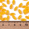 Transparent Colours Glass Seed Beads SEED-T007-16K-4