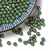 Czech Glass Beads GLAA-F101-C15-1
