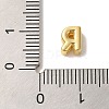 Rack Plating Brass Pendants X-KK-L220-001G-R-3