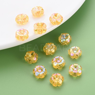 Transparent Acrylic Beads MACR-S373-06-C05-1