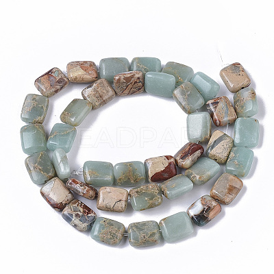 Natural Aqua Terra Jasper Beads Strands X-G-S366-016-1