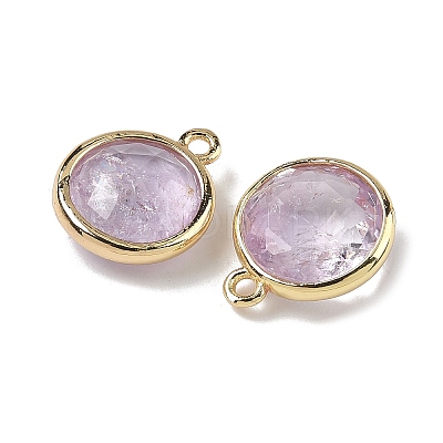 Natural Amethyst Faceted Flat Round Charms G-U028-03G-09-1