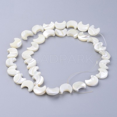 Natural White Shell Beads Strands SSHEL-12X11-1