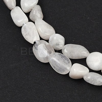 Natural Rainbow Moonstone Beads Strands G-G018-48-01-1