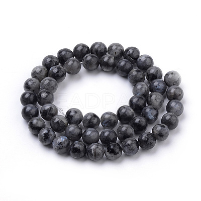 Natural Larvikite Beads Strands G-S259-06-12mm-1