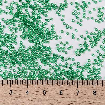 MIYUKI Round Rocailles Beads X-SEED-G009-RR0646-1