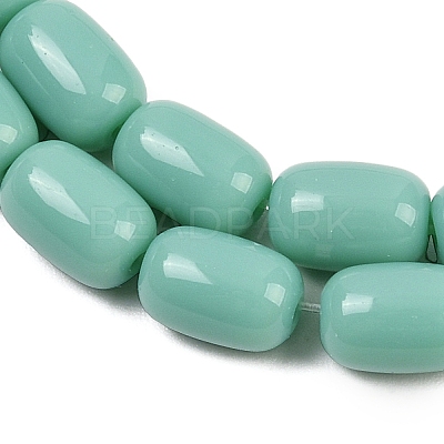 Opaque Glass Beads Strands GLAA-Z015-02B-1