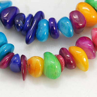 Natural Shell Beads Strands BSHE-D004-2-1