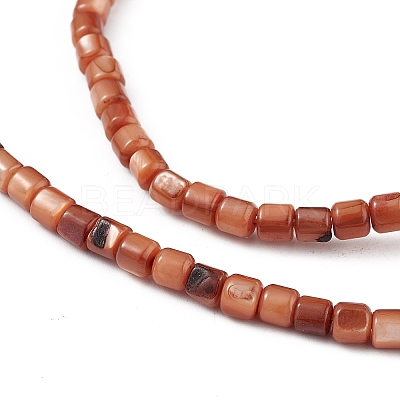 Natural Freshwater Shell Dyed Beads Strands SHEL-M018-14-02-1