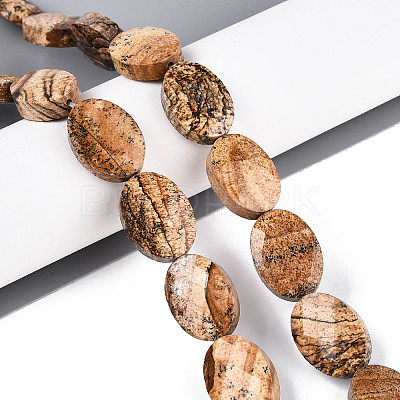 Natural Picture Jasper Beads Strands G-S354-13x18-A06-1