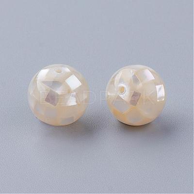 Natural White Shell Beads SSHEL-Q298-10mm-08-1