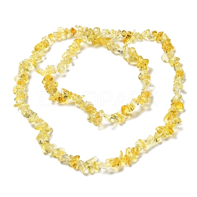 Handmade Lampwork Beads Strands G-M205-82-1