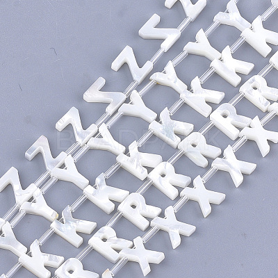 Natural Sea Shell Beads SHEL-T012-60-1