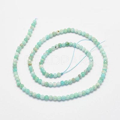 Natural Amazonite Bead Strands LS-G-P279-42-3mm-1