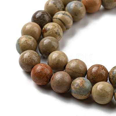 Natural Aqua Terra Jasper Strands G-S150-50-4mm-1