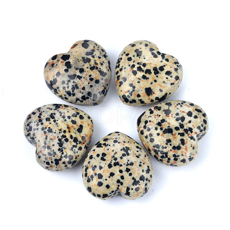 Natural Dalmatian Jasper Healing Stones PW-WGA91AE-11-1