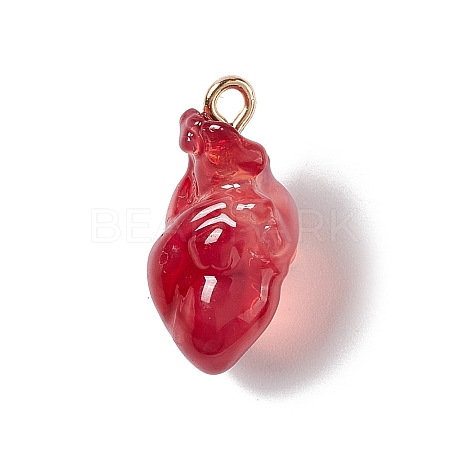 Transparent Resin Pendants RESI-E028-01G-03-1