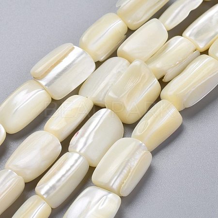 Natural Shell Beads Strands SSHEL-K026-01-1