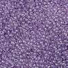 TOHO Round Seed Beads SEED-XTR11-0935-2