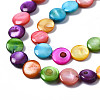 Natural Freshwater Shell Beads Strands SHEL-S278-019A-3