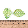 Transparent Plastic Pendants KY-N025-13-3