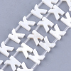 Natural Freshwater Shell Beads SHEL-T012-59K-1