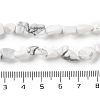 Natural Howlite Beads Strands G-P497-01C-64-5