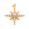 Brass Micro Pave Cubic Zirconia Charms ZIRC-G169-06G-1