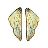 2Pcs Transparent Epoxy Resin Pendants RESI-A044-04C-1