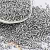 Baking Paint Glass Seed Beads X-SEED-S042-15B-33-1