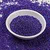 MIYUKI Round Rocailles Beads X-SEED-G009-RR1020-2