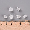 Transparent Acrylic Beads PL554-5