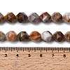 Natural Gobi Agate Beads Strands G-Z119-A36-03-6
